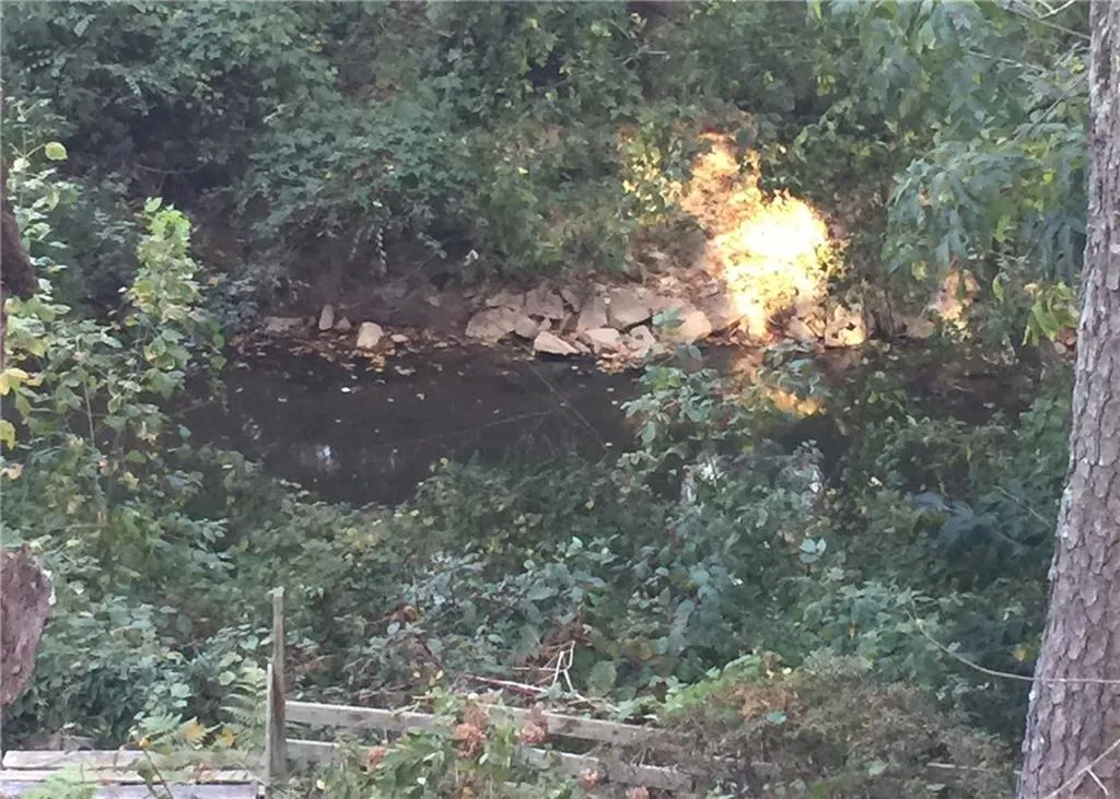 780 Starlight Lane, Atlanta, Georgia 30342, 4 Bedrooms Bedrooms, ,3 BathroomsBathrooms,Residential,Sold,780 Starlight Lane,5737541