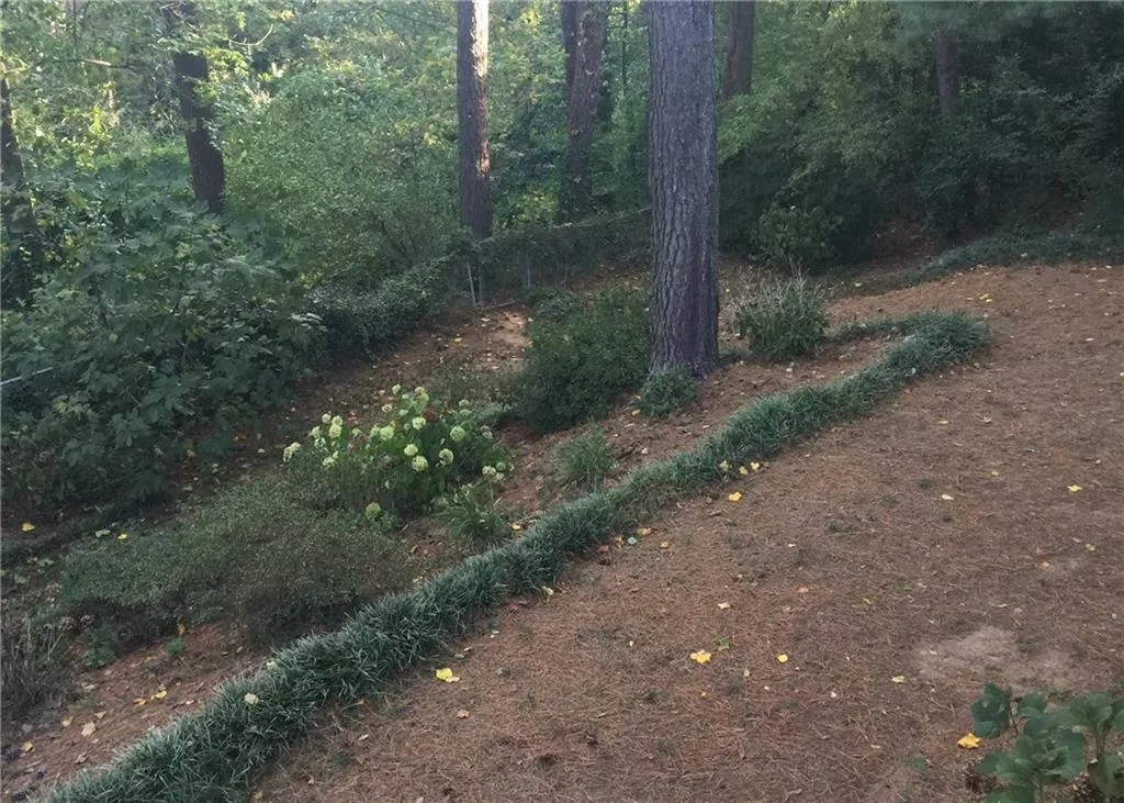 780 Starlight Lane, Atlanta, Georgia 30342, 4 Bedrooms Bedrooms, ,3 BathroomsBathrooms,Residential,Sold,780 Starlight Lane,5737541