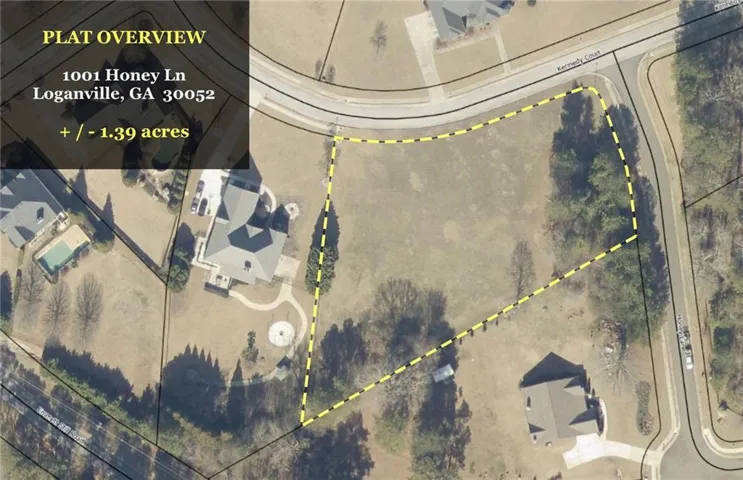 Plat Overview. Depicting the property boundary and surrounding features