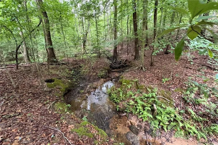 0 Lanette Circle, Barnesville, Georgia 30204
