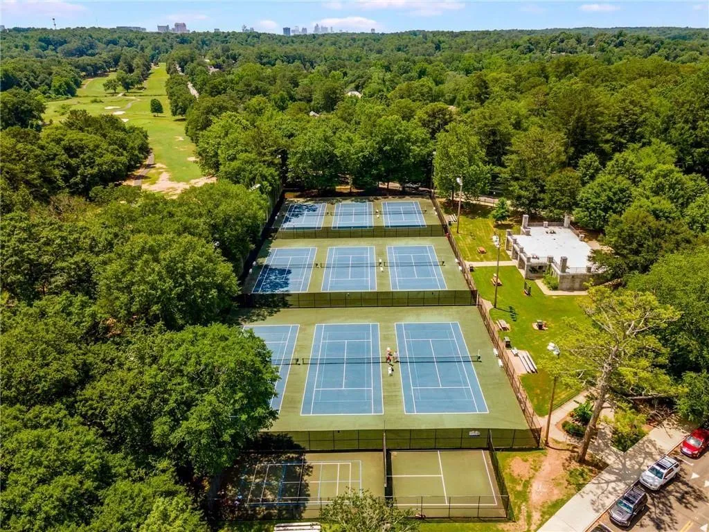 Drone / aerial view of a forest
