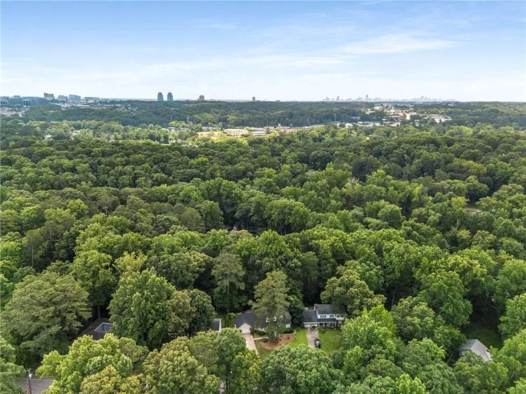 Drone / aerial view of a forest