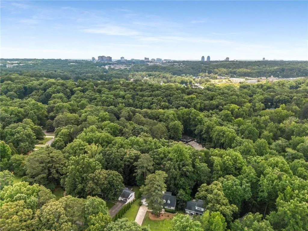 Drone / aerial view of a forest