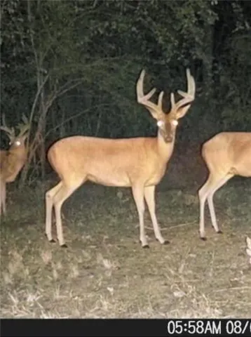 1170