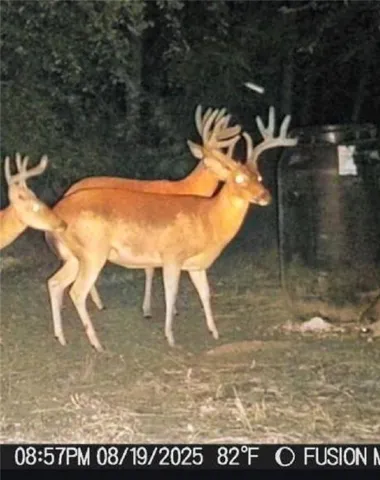 1170
