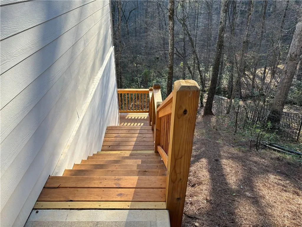 Wooded backyard