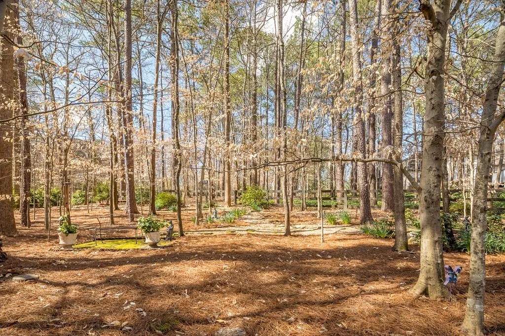 145 Spalding Creek Court, Atlanta, Georgia 30350, 5 Bedrooms Bedrooms, ,4 BathroomsBathrooms,Residential,Sold,145 Spalding Creek Court,6694261