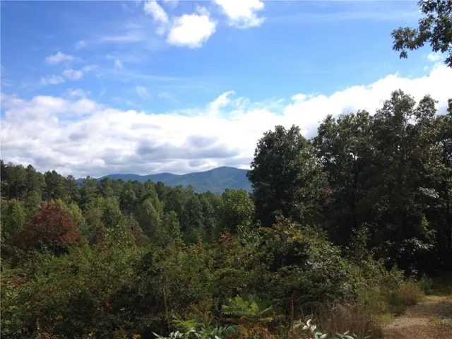 0 The Hills Lane, Blairsville, Georgia 30512