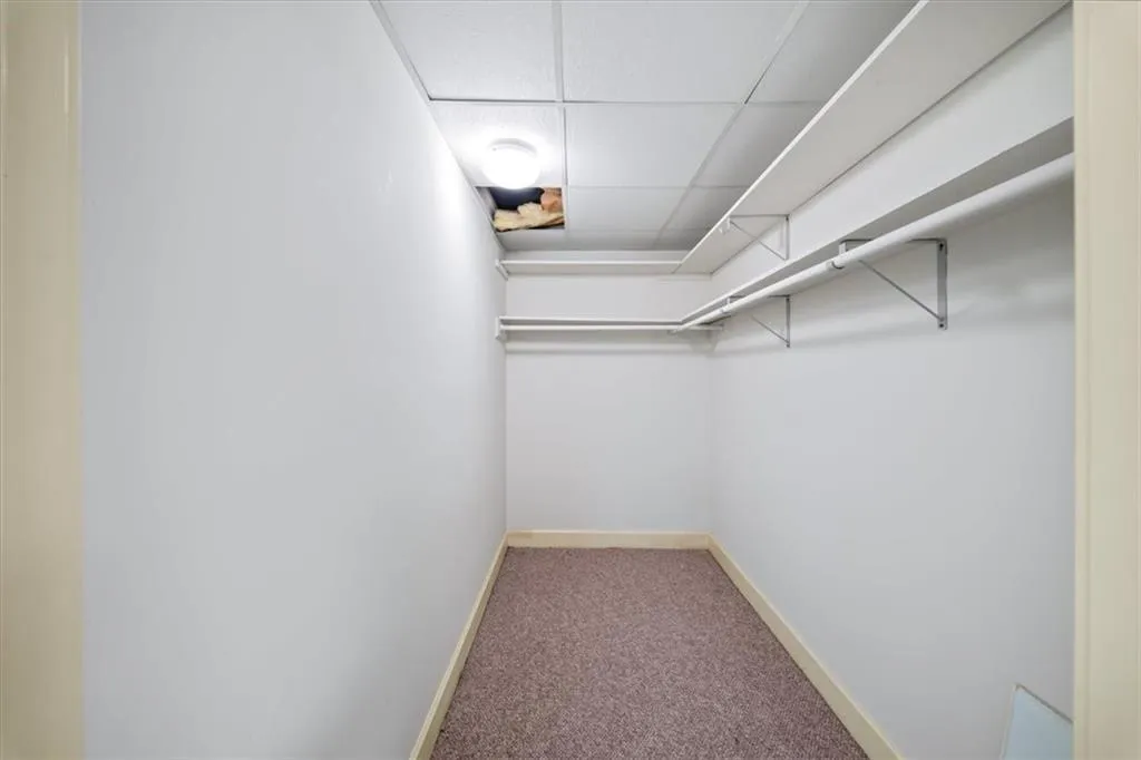 Terrace Bedroom Closet #2