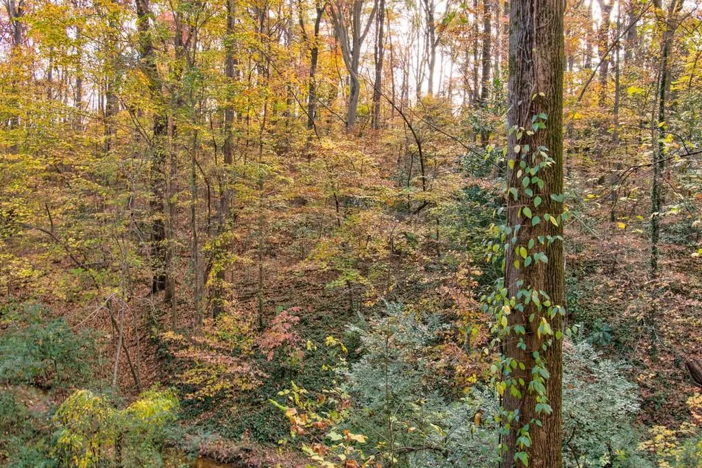 5145 Roswell Road Unit 1, Atlanta, Georgia 30342, 2 Bedrooms Bedrooms, ,1 BathroomBathrooms,Residential,Sold,5145 Roswell Road Unit 1,6813348