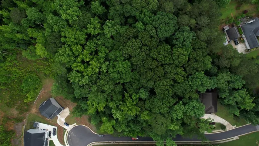 Expansive wooded lot offering natural tree cover