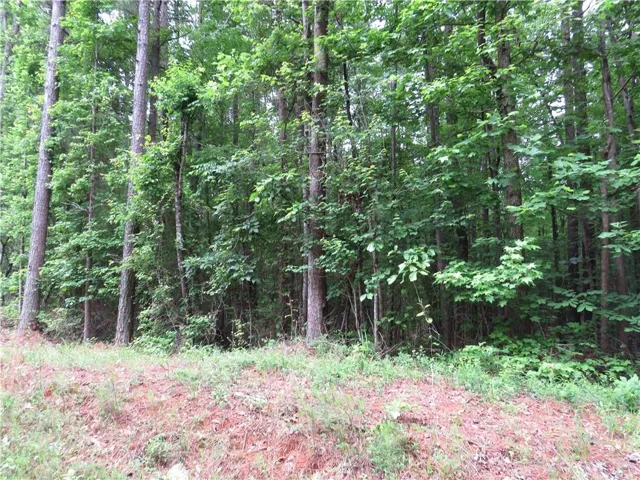 0 Doke Cohran Road, Dallas, Georgia 30157