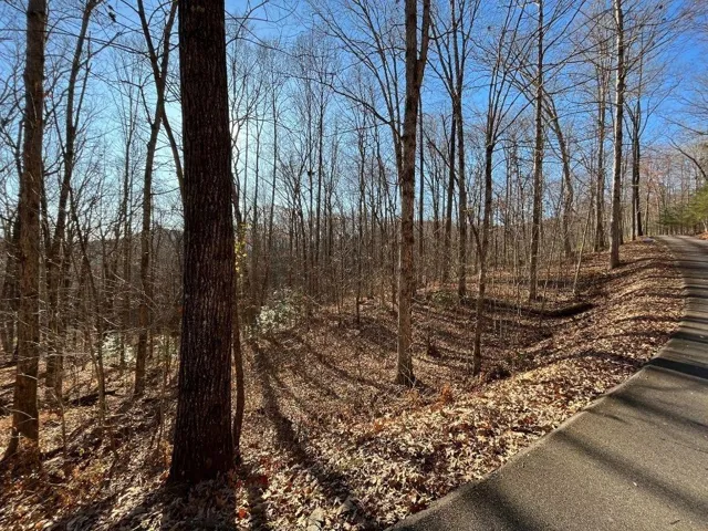 Lot #2 Forest Canopy Way, Clayton, Georgia 30525