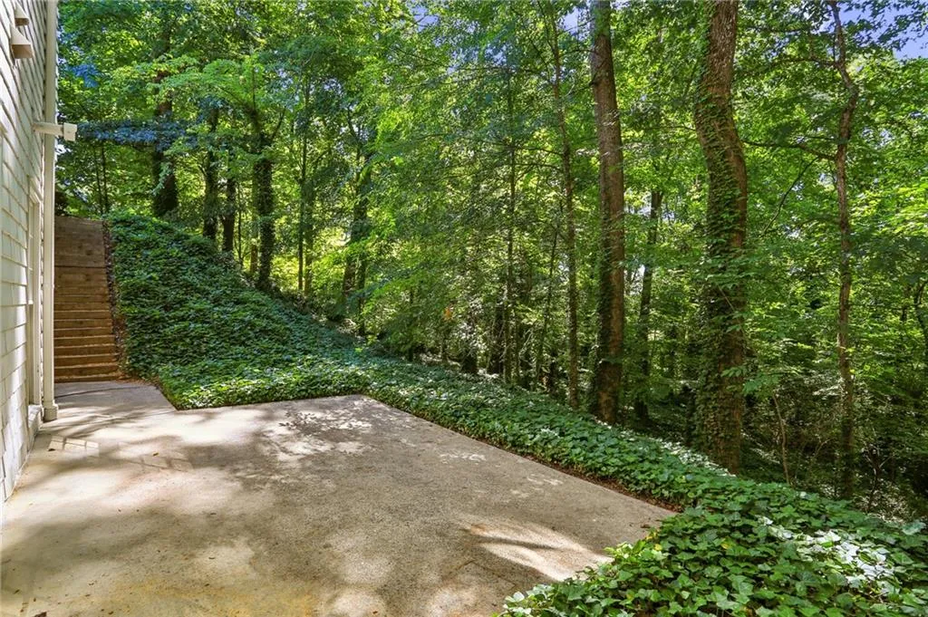 Rear patio overlooking trees that leads down to a creek which borders the property.