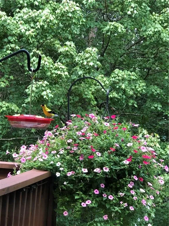 610 Trowbrook Court, Atlanta, Georgia 30350, 6 Bedrooms Bedrooms, ,4 BathroomsBathrooms,Residential,Sold,610 Trowbrook Court,7350459