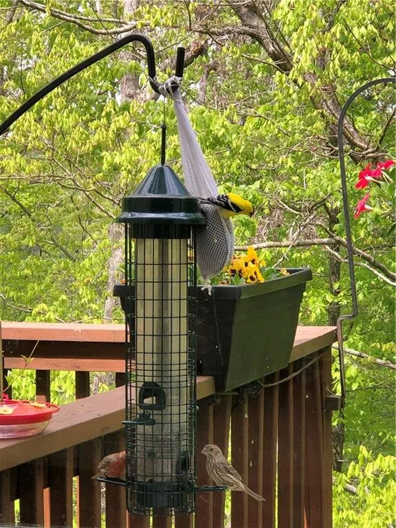 Summer View from Breakfast Area