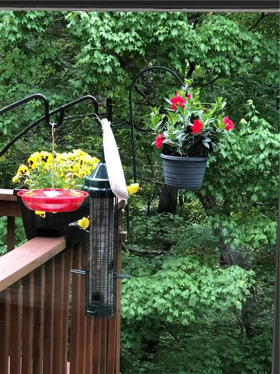 Summer View from Breakfast Area