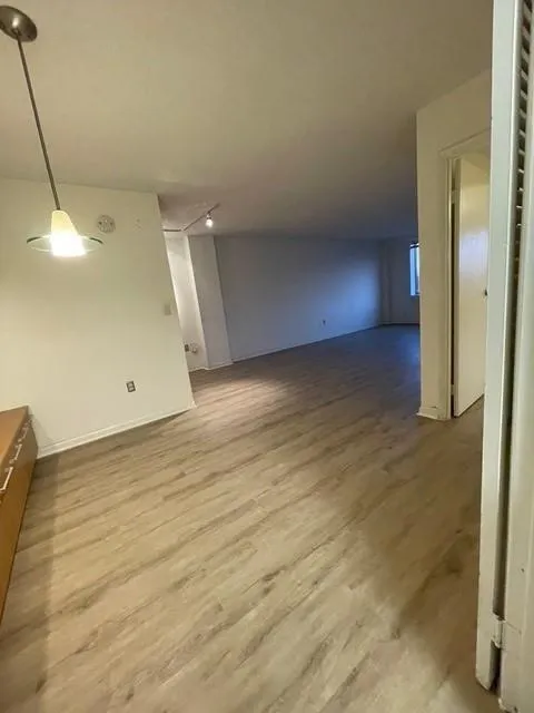Unfurnished room with light hardwood / wood-style flooring