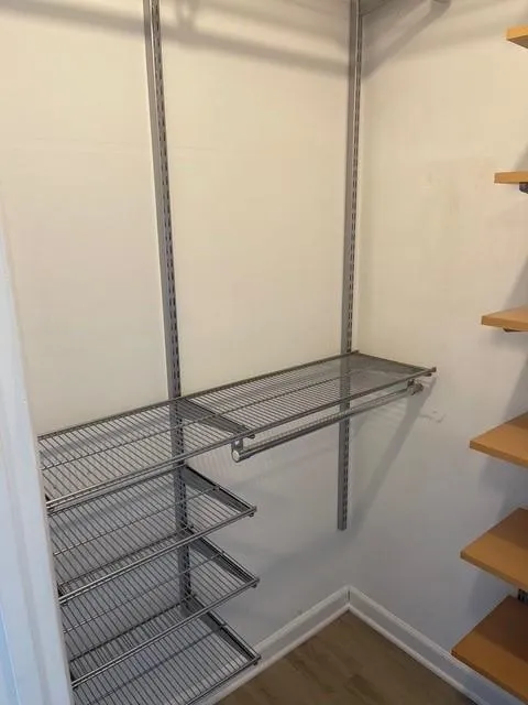 Spacious closet with wood-type flooring