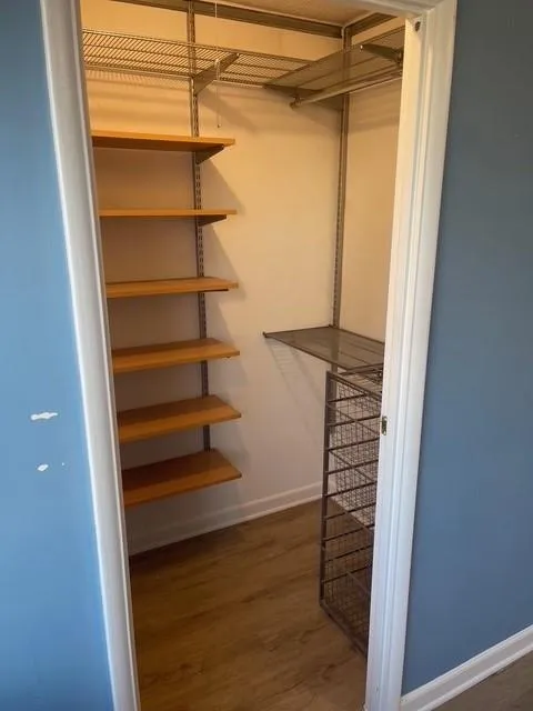 Spacious closet with dark hardwood / wood-style floors