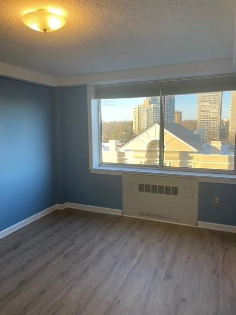 Empty room with radiator, a textured ceiling, and hardwood / wood-style flooring