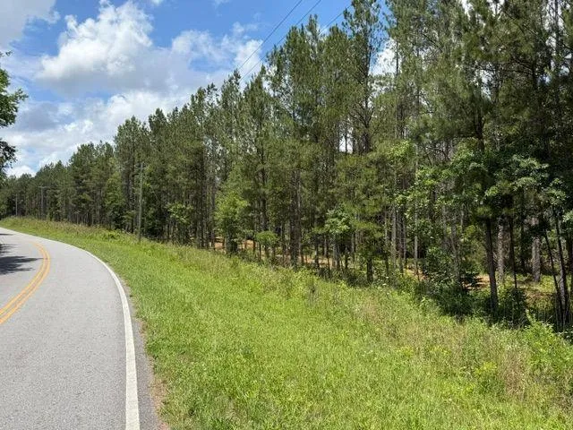 0 Iron Hill Road, Taylorsville, Georgia 30178