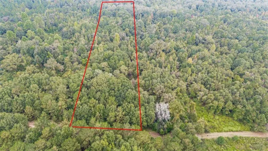 0 Willow Creek Drive, Oglethorpe, Georgia 31068