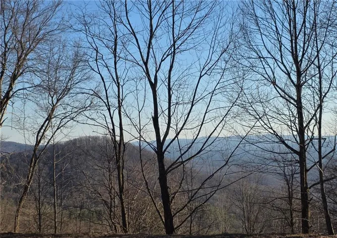 0 Big Creek Road, Ellijay, Georgia 30536