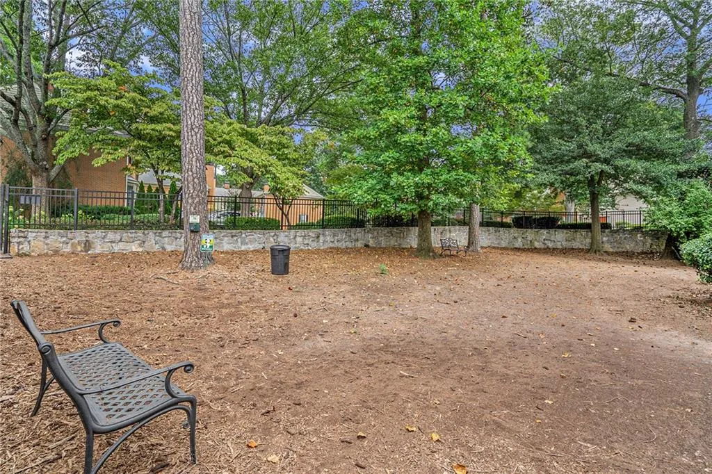 Fantastic dog park