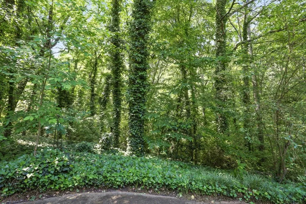 700 N Island Drive, Sandy Springs, Georgia 30327, 4 Bedrooms Bedrooms, ,2 BathroomsBathrooms,Residential,Sold,700 N Island Drive,5847203