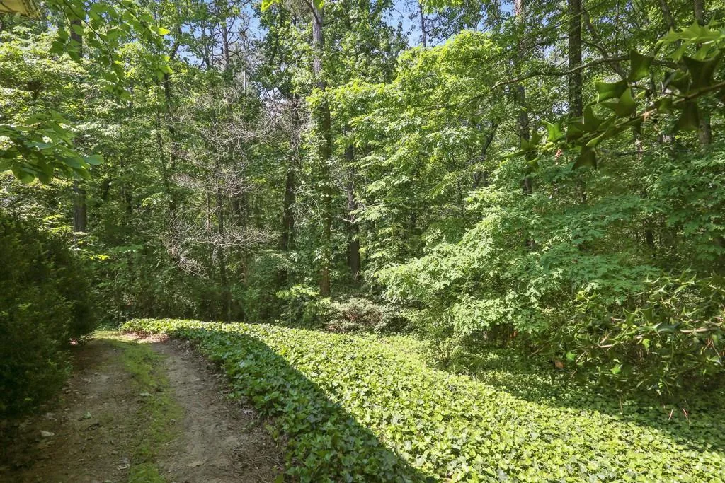 700 N Island Drive, Sandy Springs, Georgia 30327, 4 Bedrooms Bedrooms, ,2 BathroomsBathrooms,Residential,Sold,700 N Island Drive,5847203