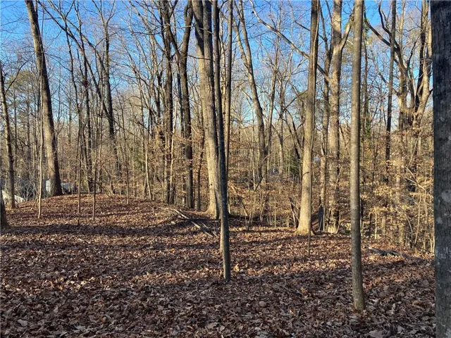 Beautiful wooded lot