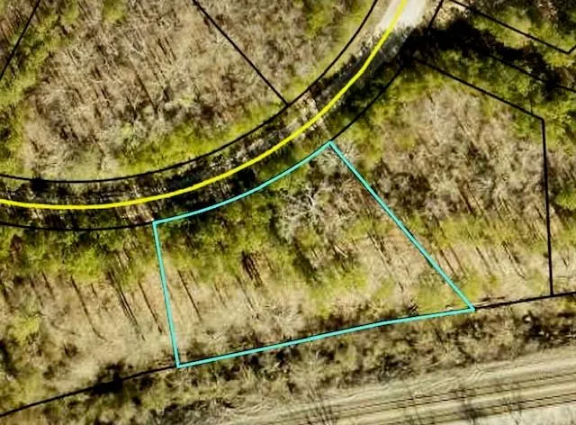 Aerial Map. Illustrating the boundaries of the property and its relationship to surrounding parcels and infrastructure