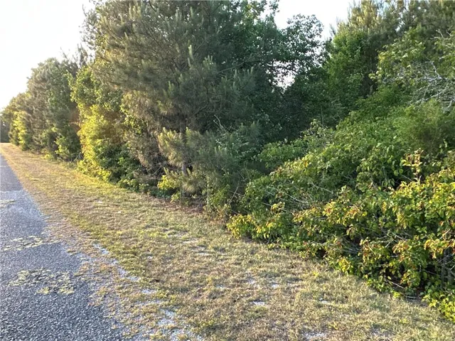 Lot 7 County Road 520, Centre, Alabama 35960