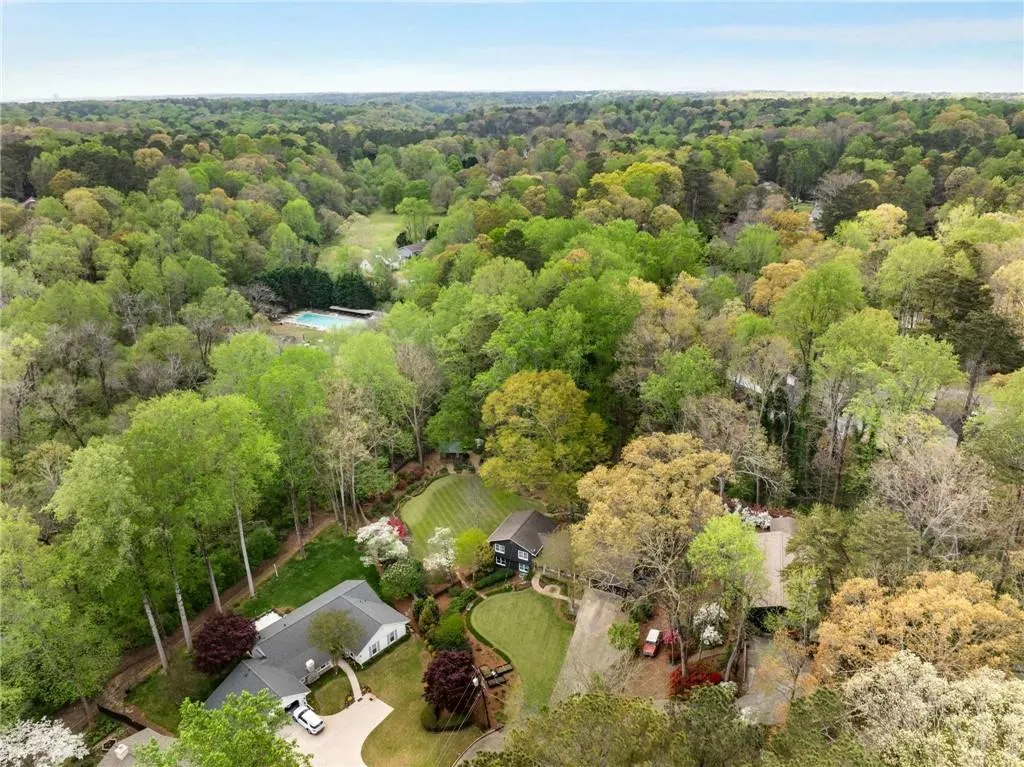Bird's eye view with a forest view