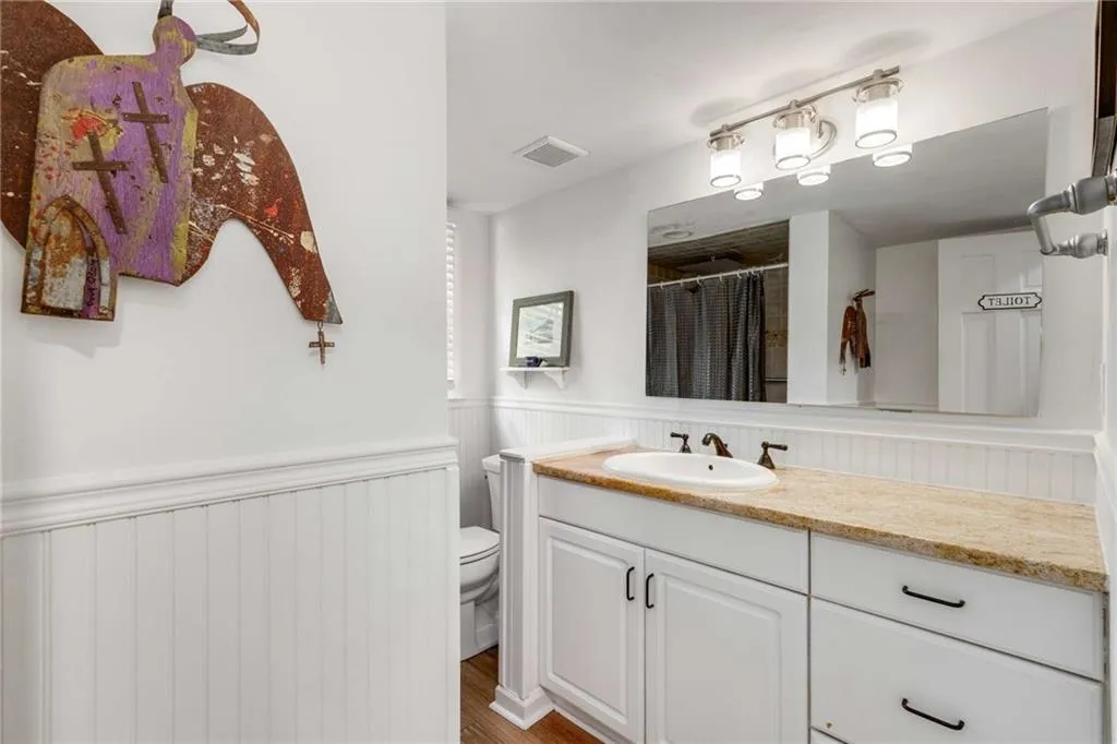 Lower level Bathroom