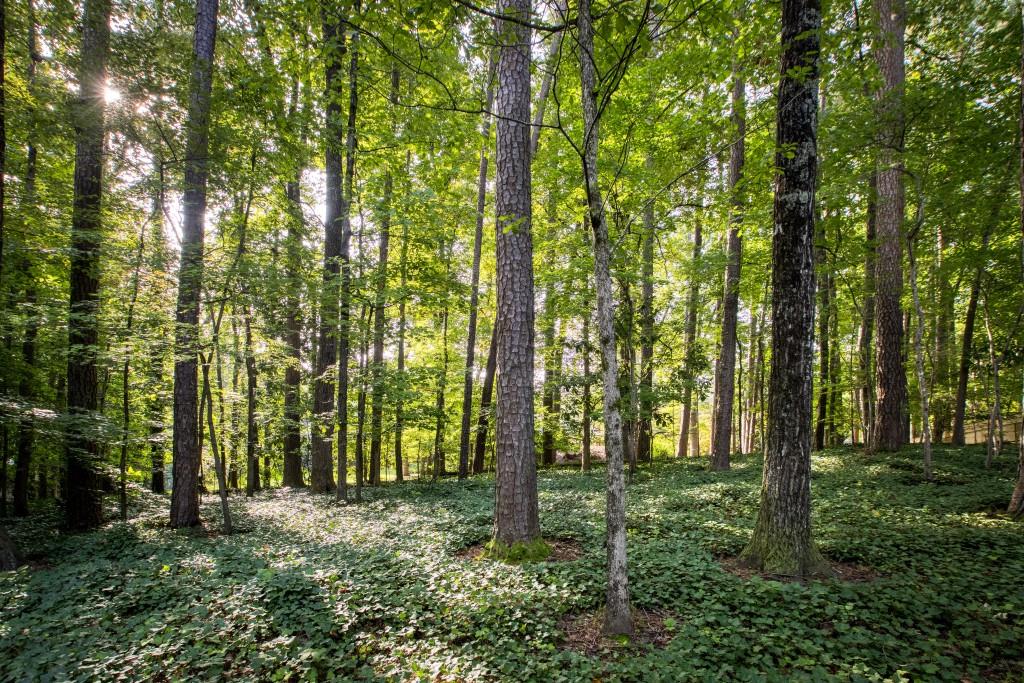 7185 Riverside Drive, Sandy Springs, Georgia 30328, 6 Bedrooms Bedrooms, ,4 BathroomsBathrooms,Residential,Sold,7185 Riverside Drive,7282861