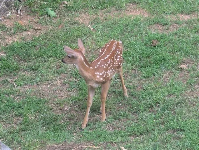 1170