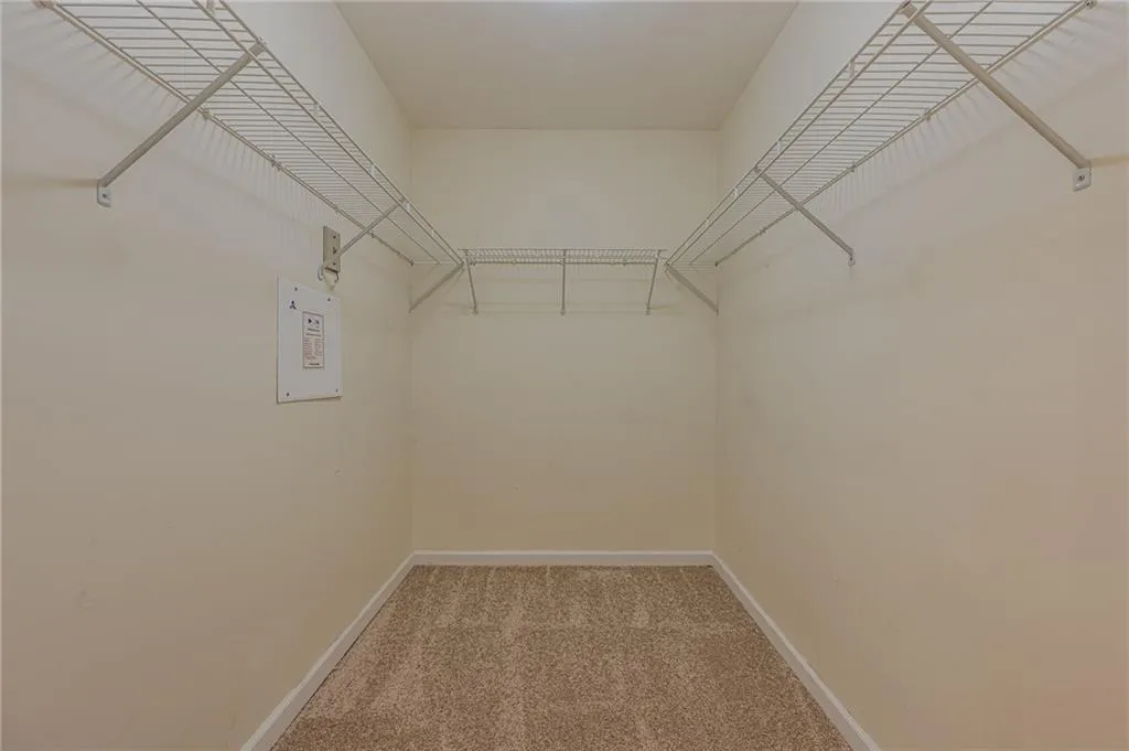 Spacious closet featuring carpet floors
