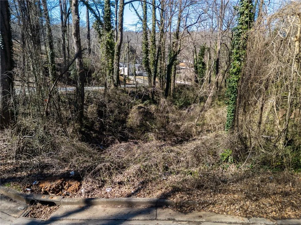 View of undeveloped land