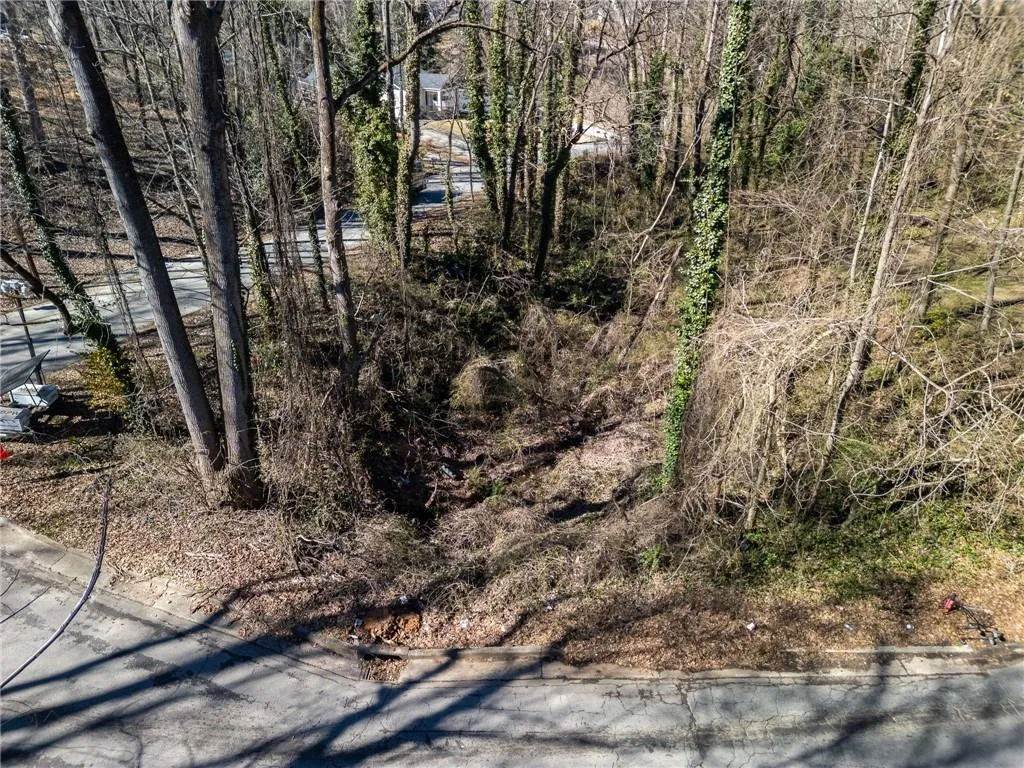 View of local wilderness