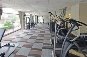 Workout area featuring a drop ceiling and carpet flooring