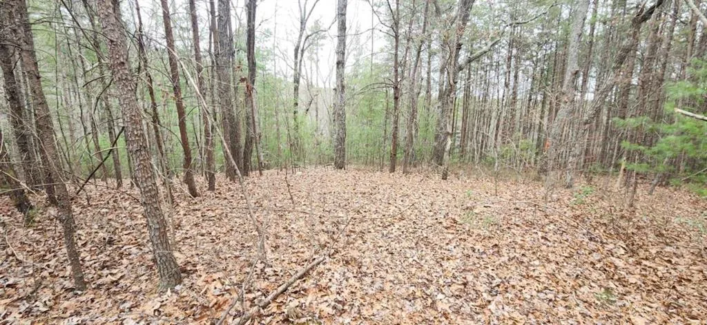 0 Vista Dell Lane, Tallulah Falls, Georgia 30573