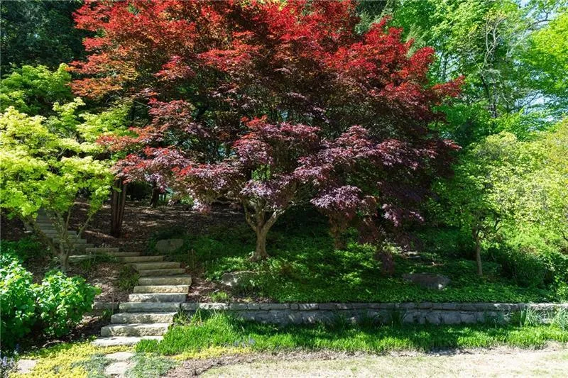 4615 Northside Drive, Atlanta, Georgia 30327, 6 Bedrooms Bedrooms, ,8 BathroomsBathrooms,Residential,For Sale,4615 Northside Drive,7680633
