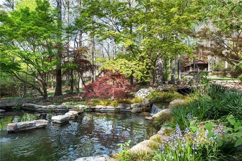 Koi pond