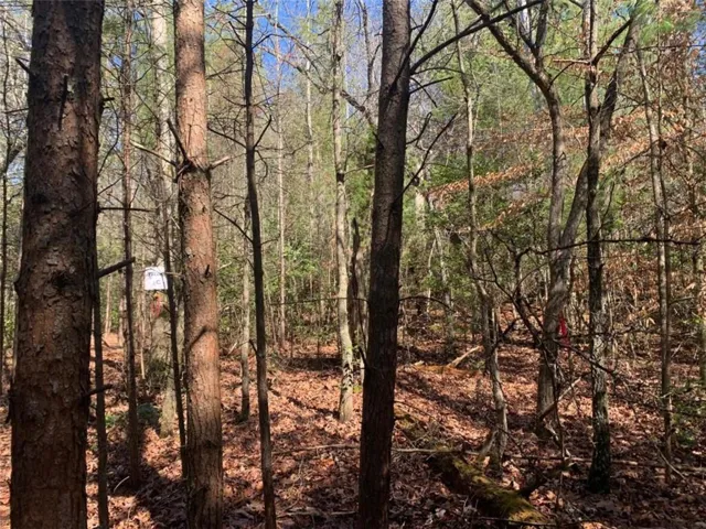 0 East New Hope Road, Ellijay, Georgia 30536