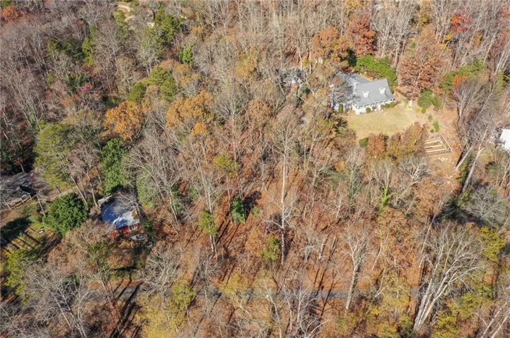 Bird's eye view of a forest