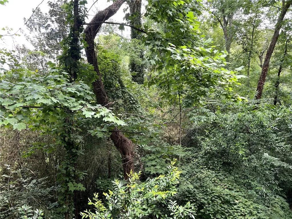 View of nature and trees looking out sunroom window