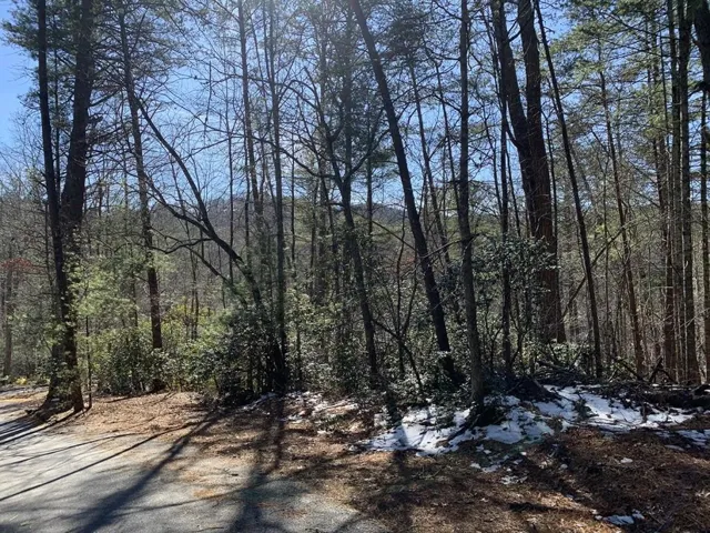 0 Pinecrest Road, Sautee Nacoochee, Georgia 30571