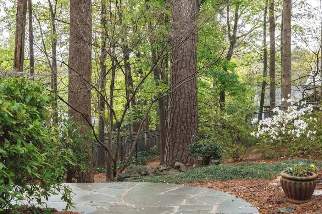 1060 Mountain Creek Trail, Sandy Springs, Georgia 30328, 4 Bedrooms Bedrooms, ,3 BathroomsBathrooms,Residential,Sold,1060 Mountain Creek Trail,7200622